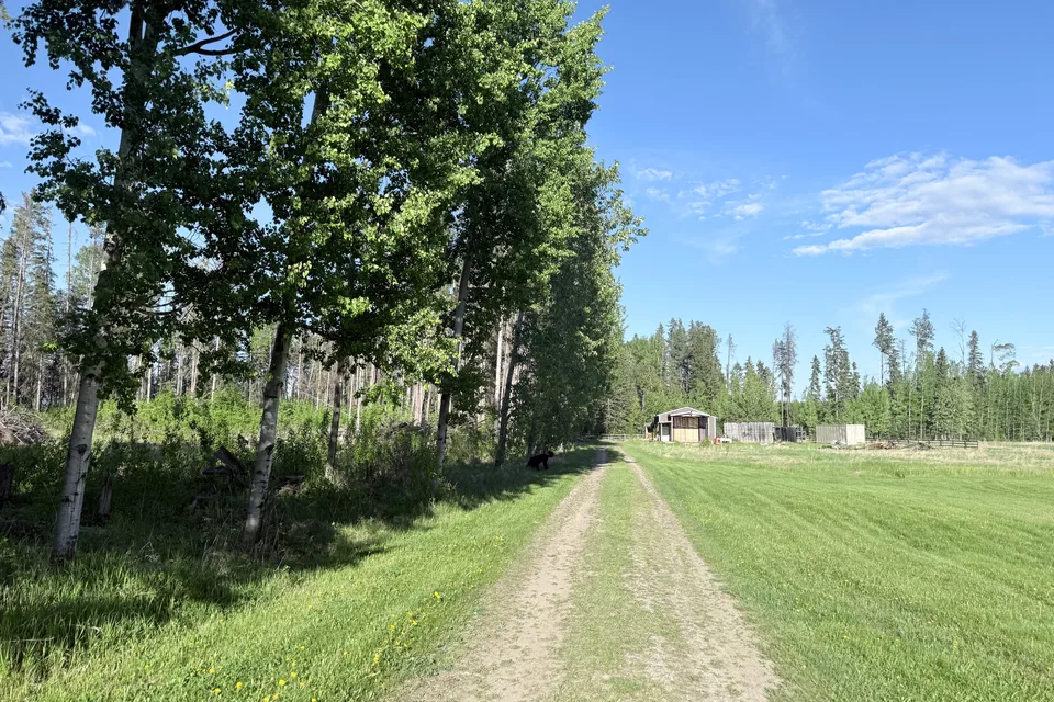 River Ridge RV Cottage