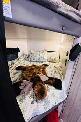 'Evelyn' 2023 Keystone RV Passport ACO2302