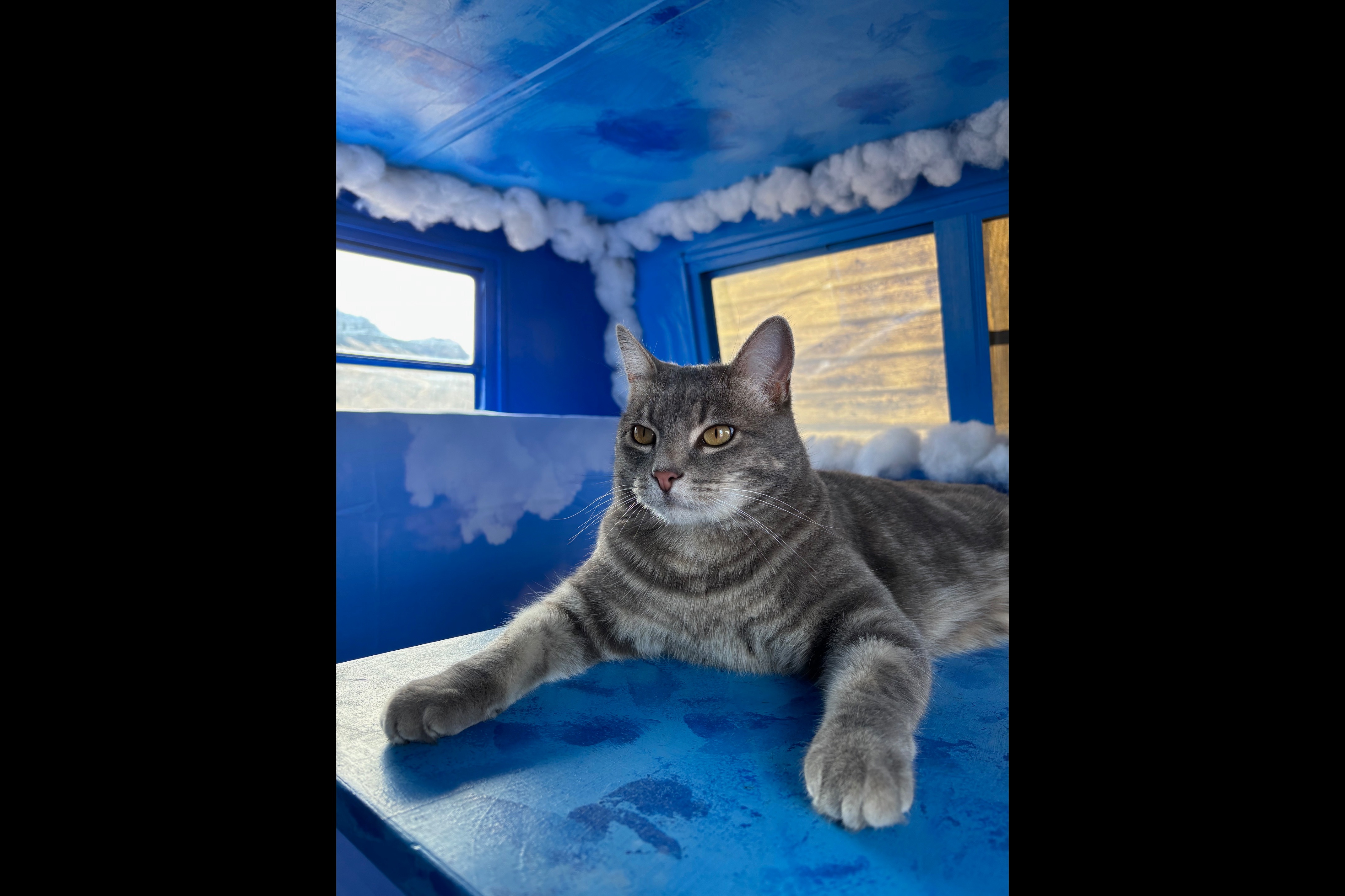 Fluffy The Cloud Burning Man Warn The West Rental Trailer 2026
