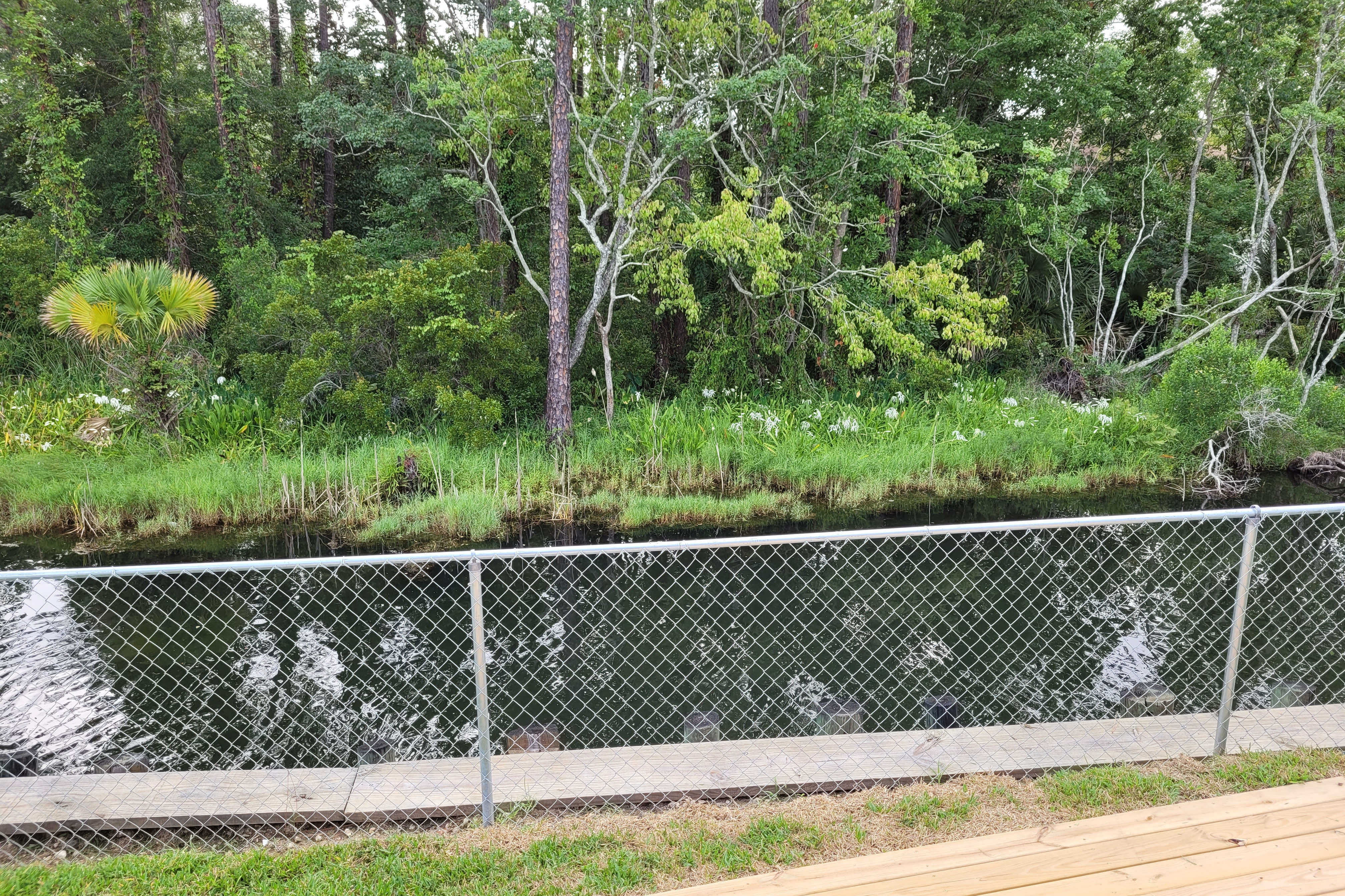 Family Creekside RV Cottage-15 Min from Beach