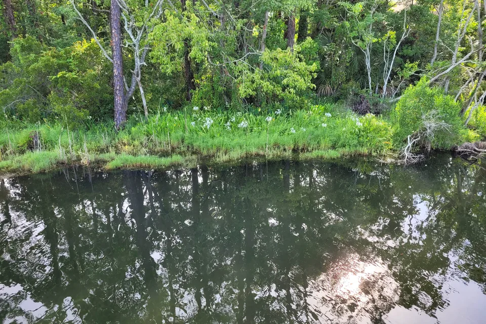 Family Creekside RV Cottage-15 Min from Beach