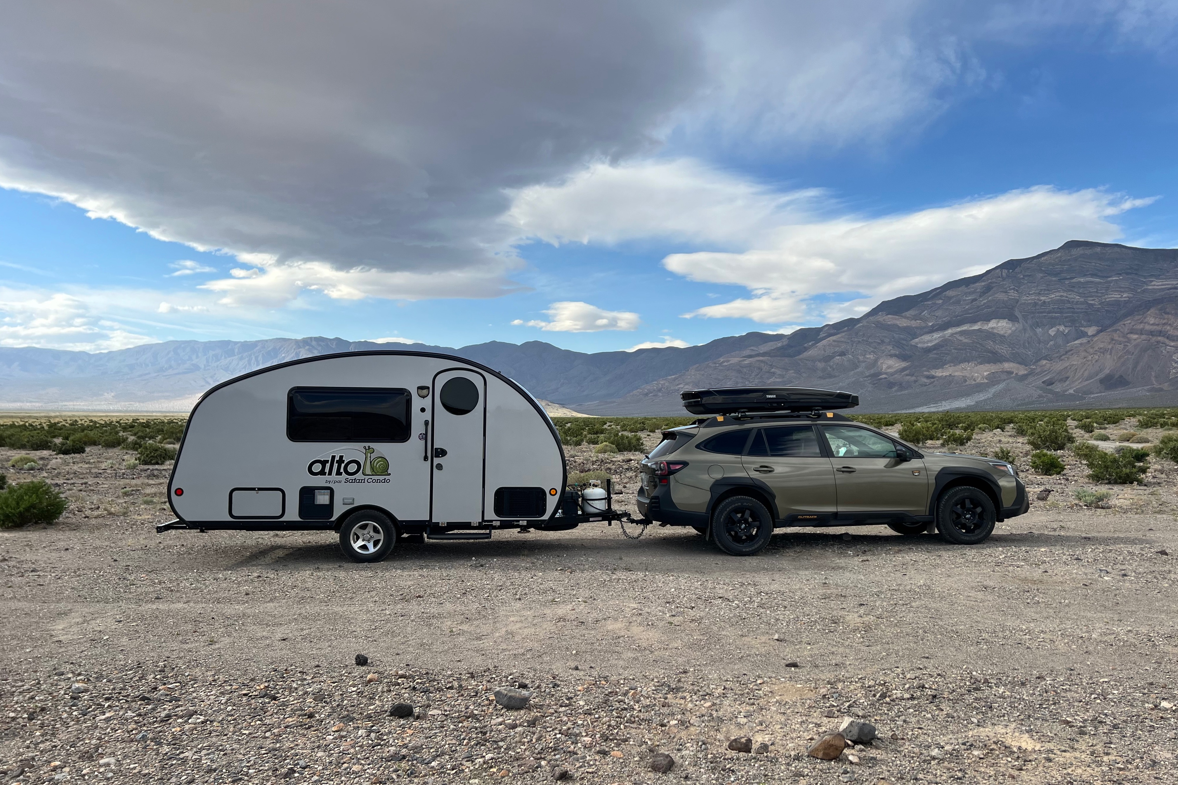 Nomad Snail (Safari Condo Alto 1743)