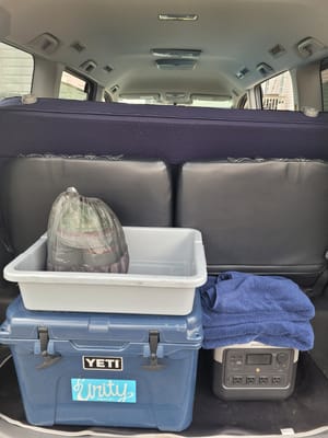 Lil Van from Japan