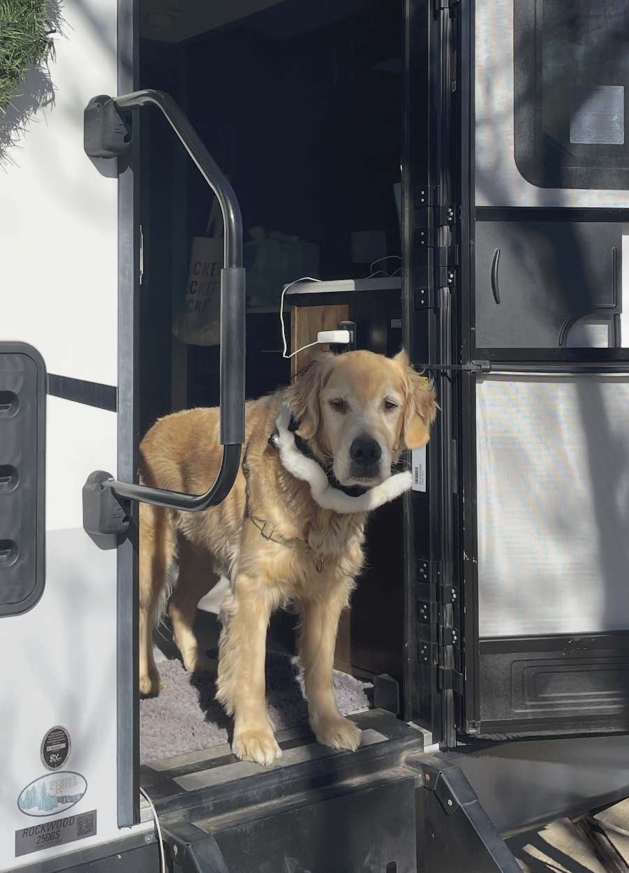 Wolf Pack Bunkhouse/Toyhauler