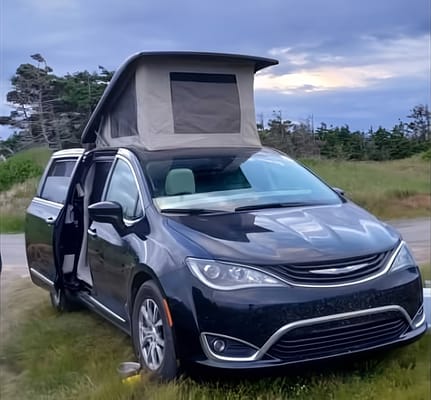 PACHY CAMP hybride