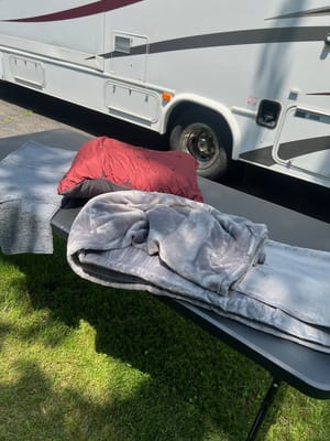 CT RV Adventures Forest River Sunseeker 3170DSF Class C