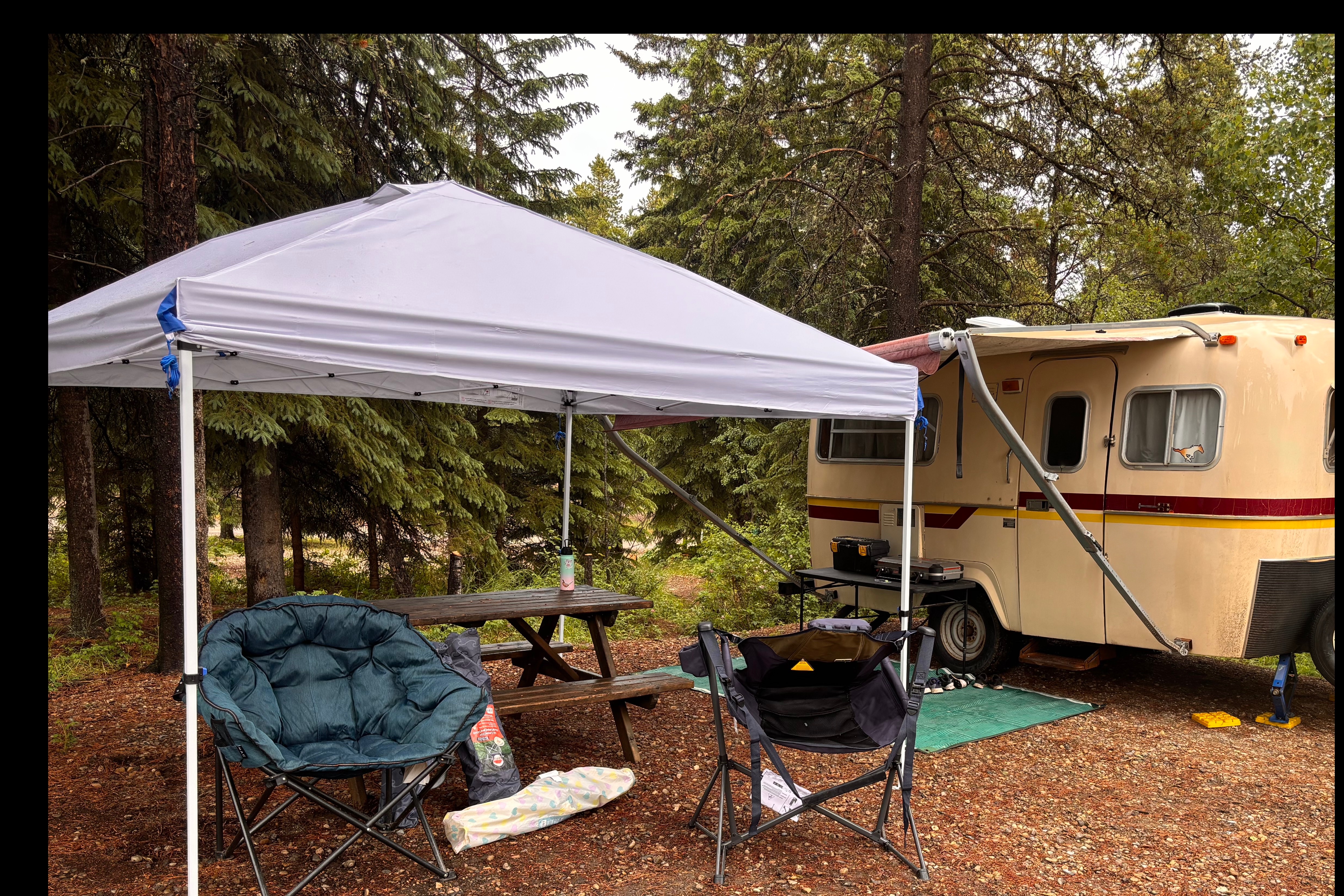 The BF Boler
