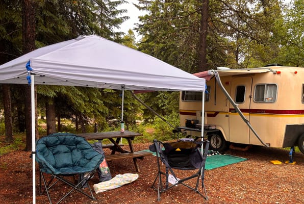 The BF Boler