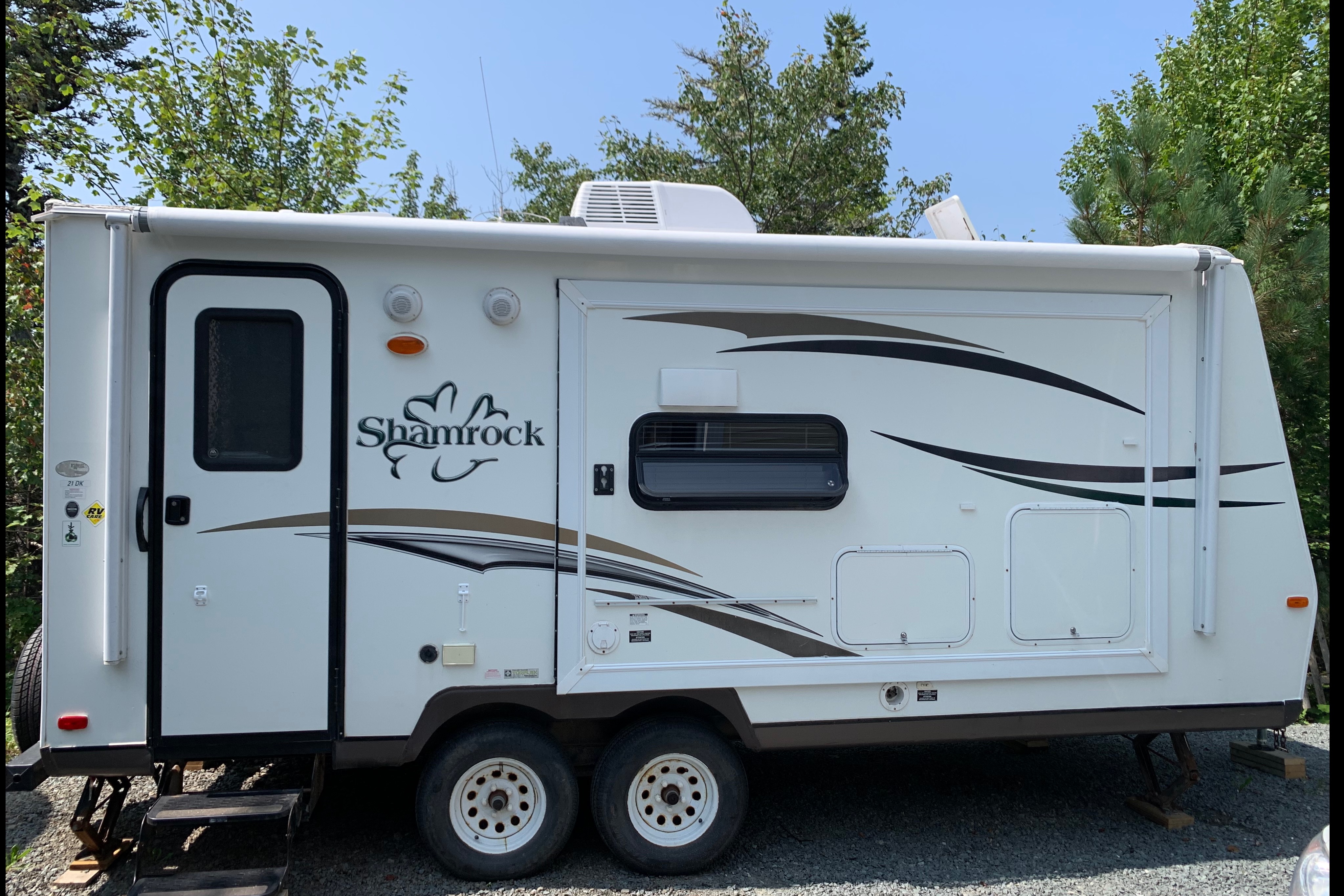 Wild Shamrock Adventurer