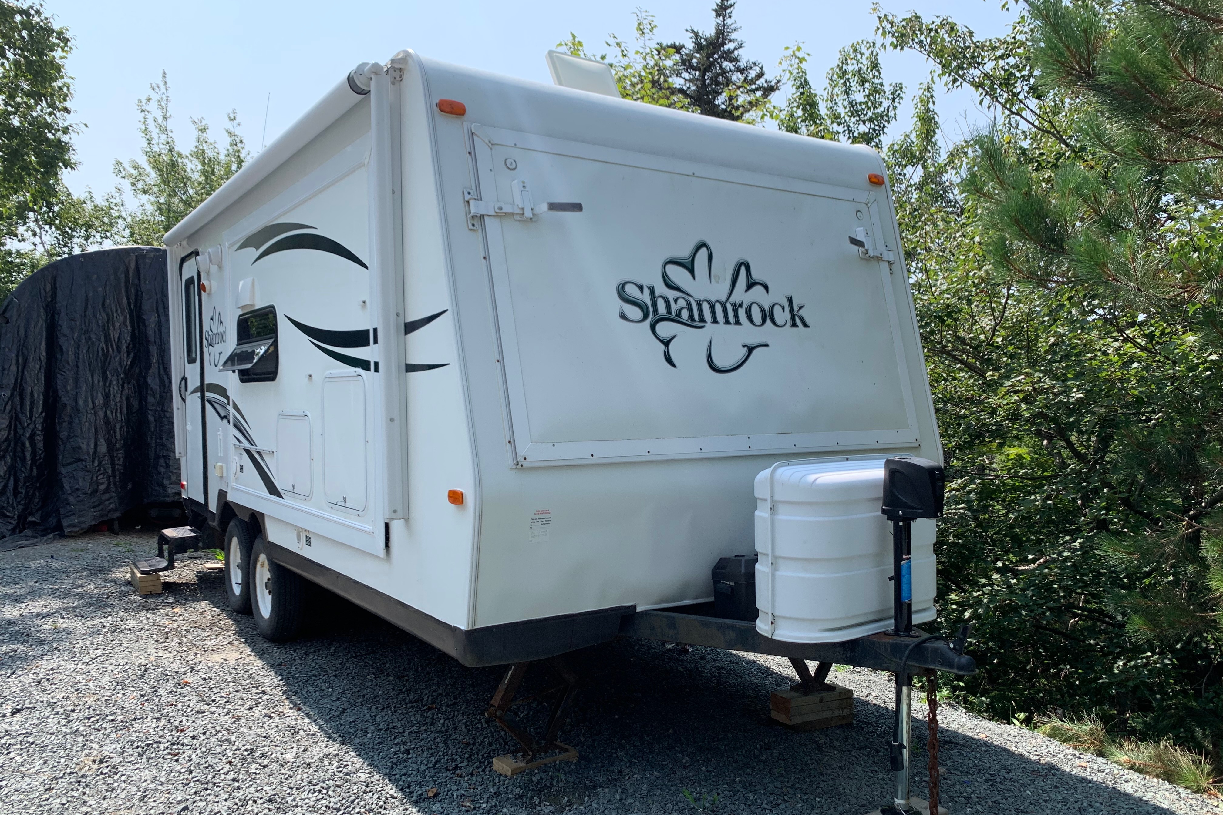 Wild Shamrock Adventurer