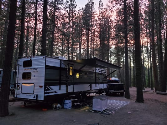 2021 Grand Design Xplor 265 bunk house family/pet friendly