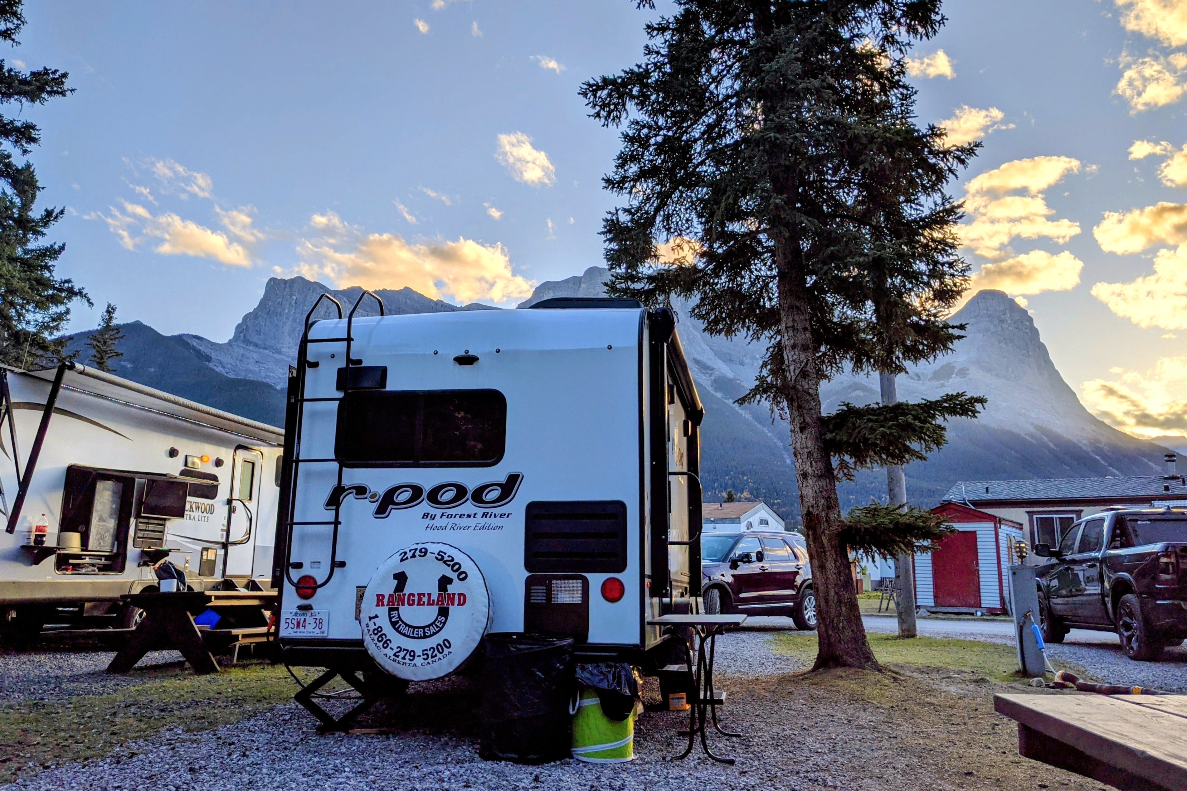 Tad: Small Rig, Big Adventures. 🐸