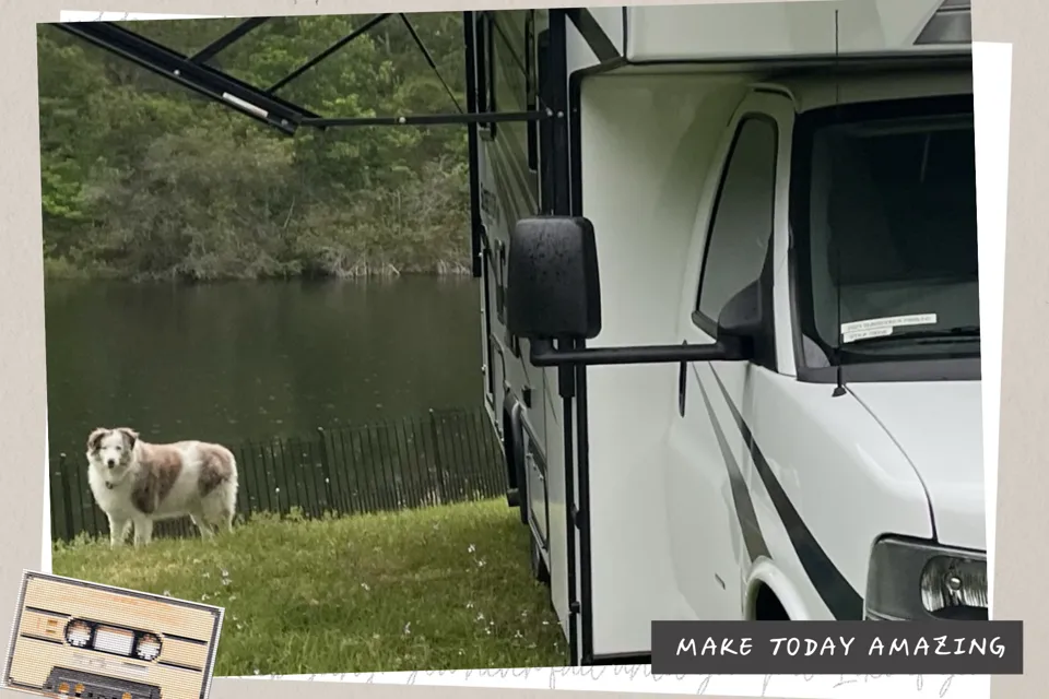 Traveler Forest River Sun seeker 2350LE Class C