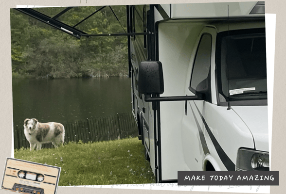 Traveler Forest River Sun seeker 2350LE Class C