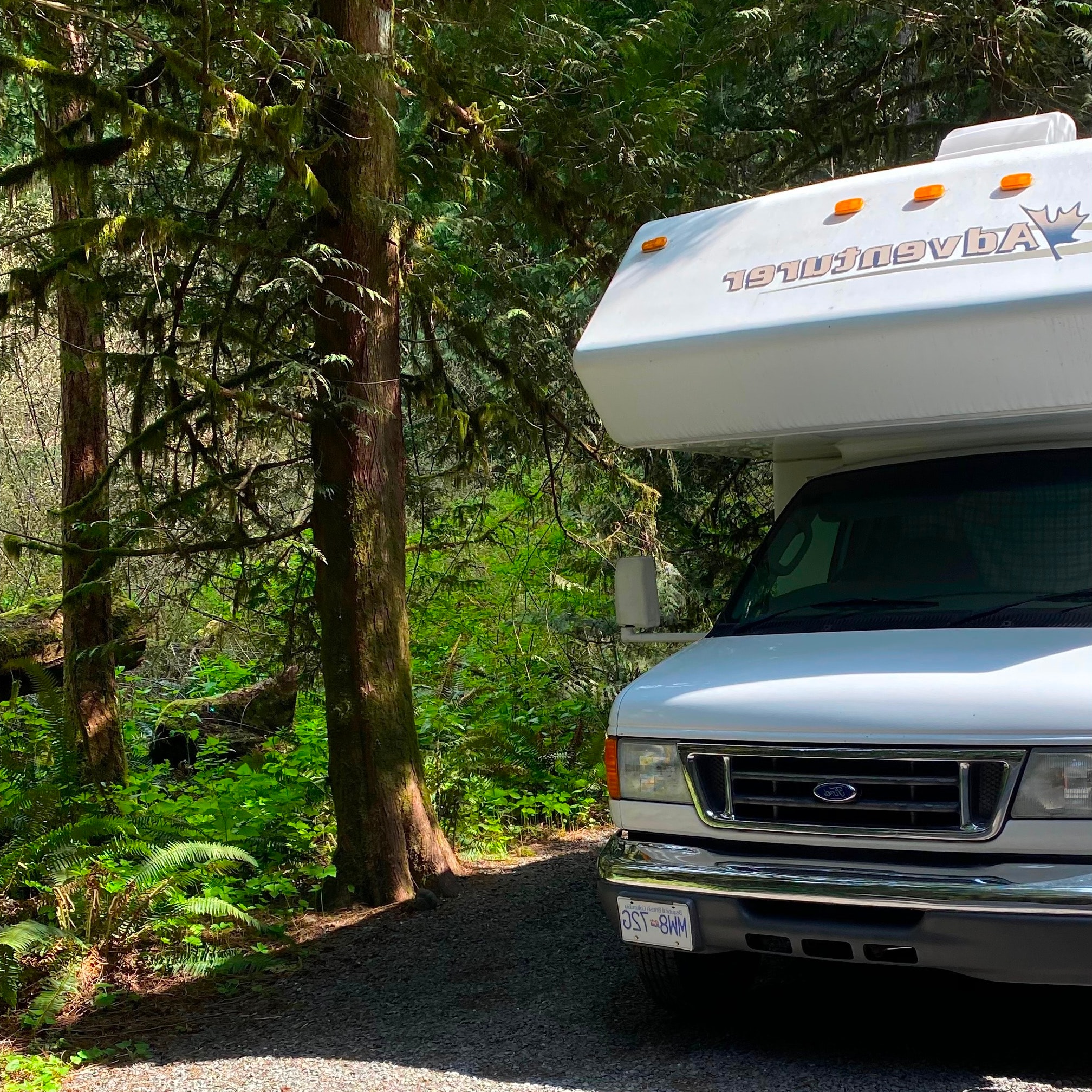 Ihavecoonhounds's Adventurer Lp Model c Class C