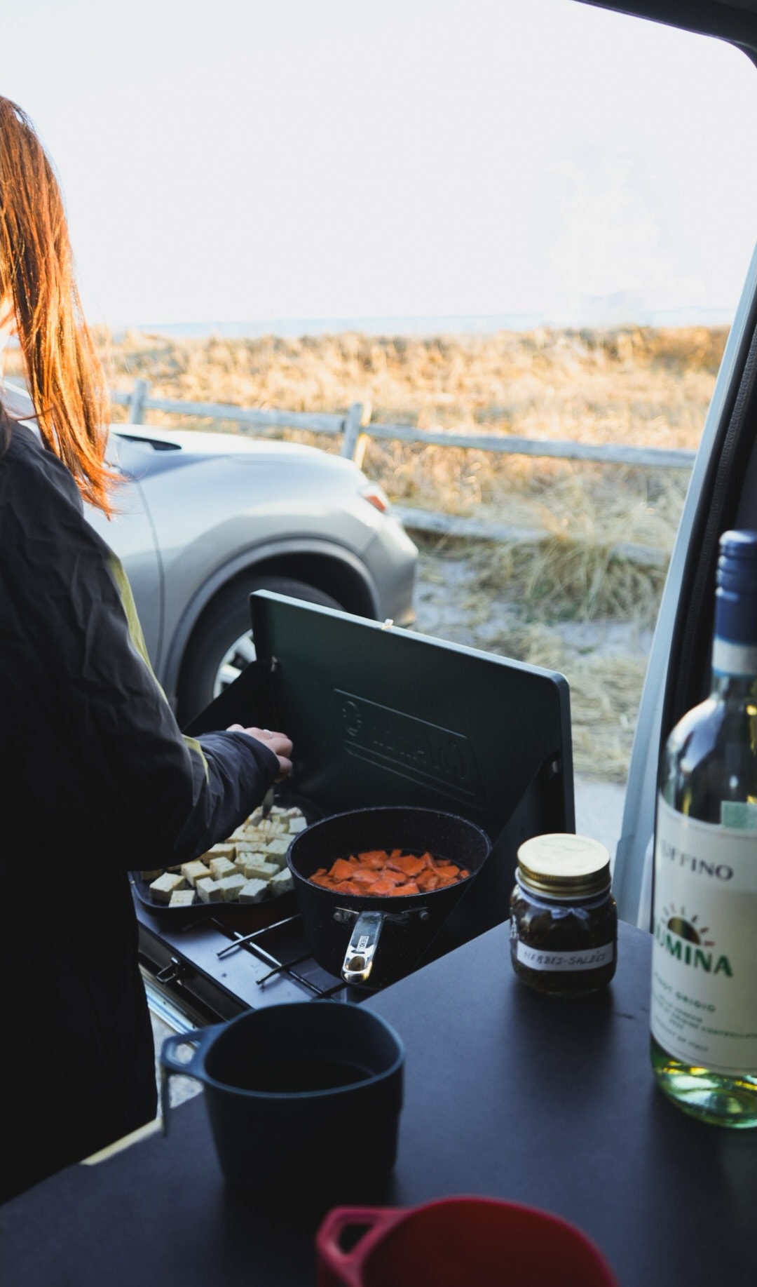 vi.vanlife