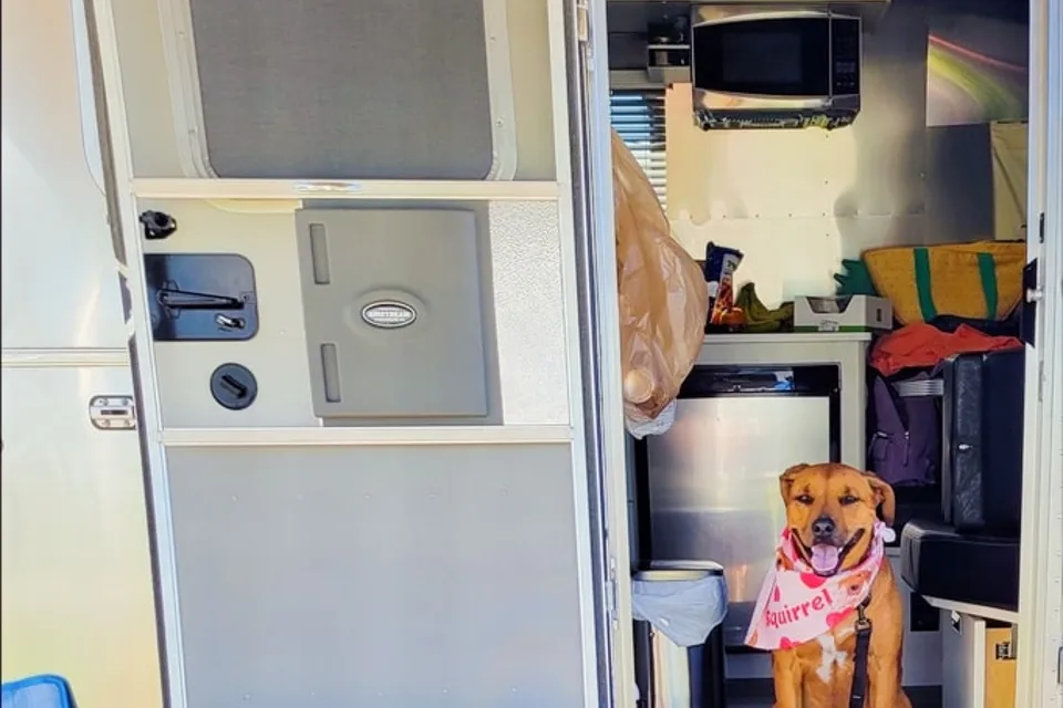 Squirrel-V 2020 Airstream Bambi DOG FRIENDLY Barbies dream camper free SPACEX internet