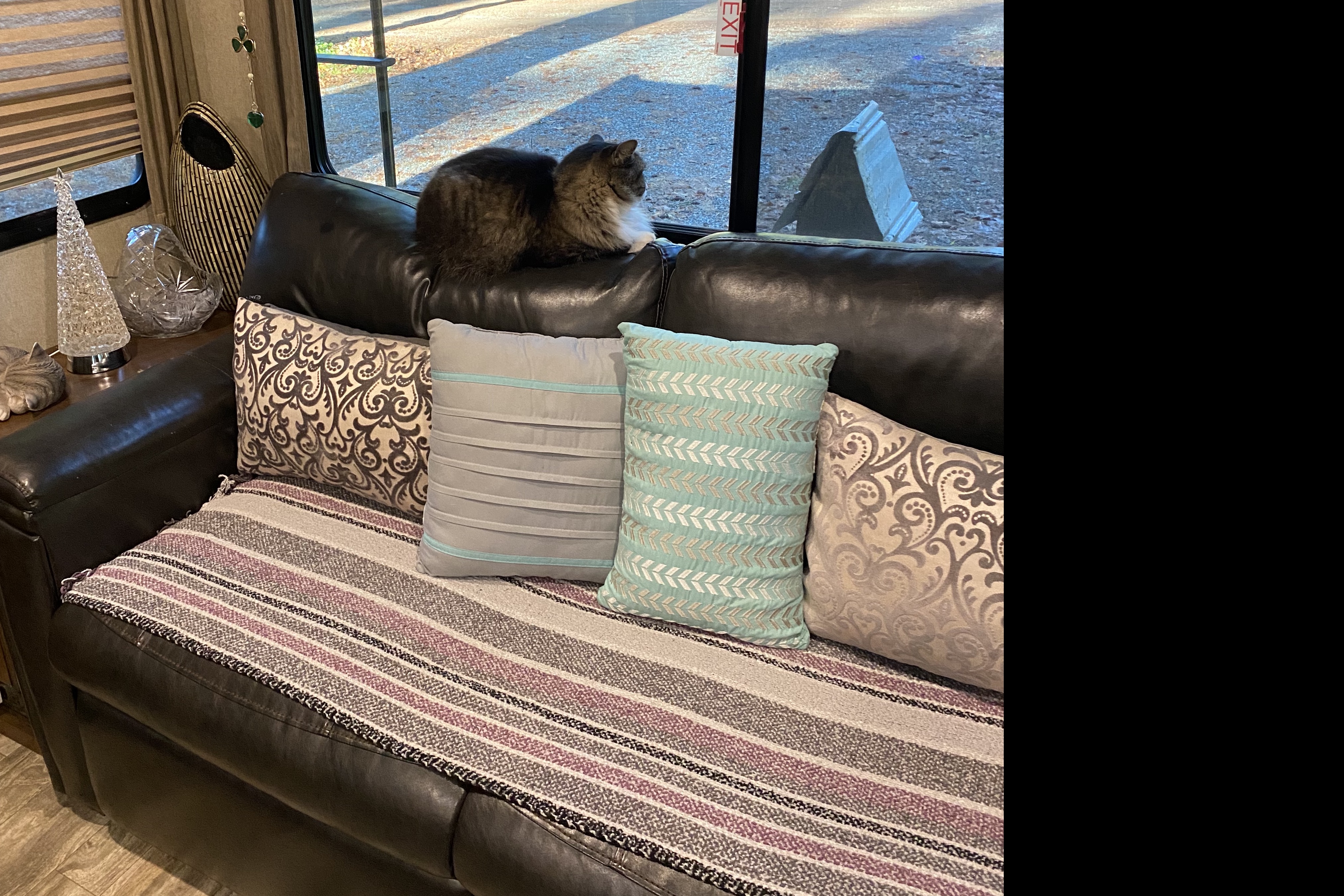 Glamping Grand Design Reflection Travel Trailer