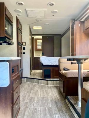 Darling Forest River Sunseeker 2420MS Ford Class C