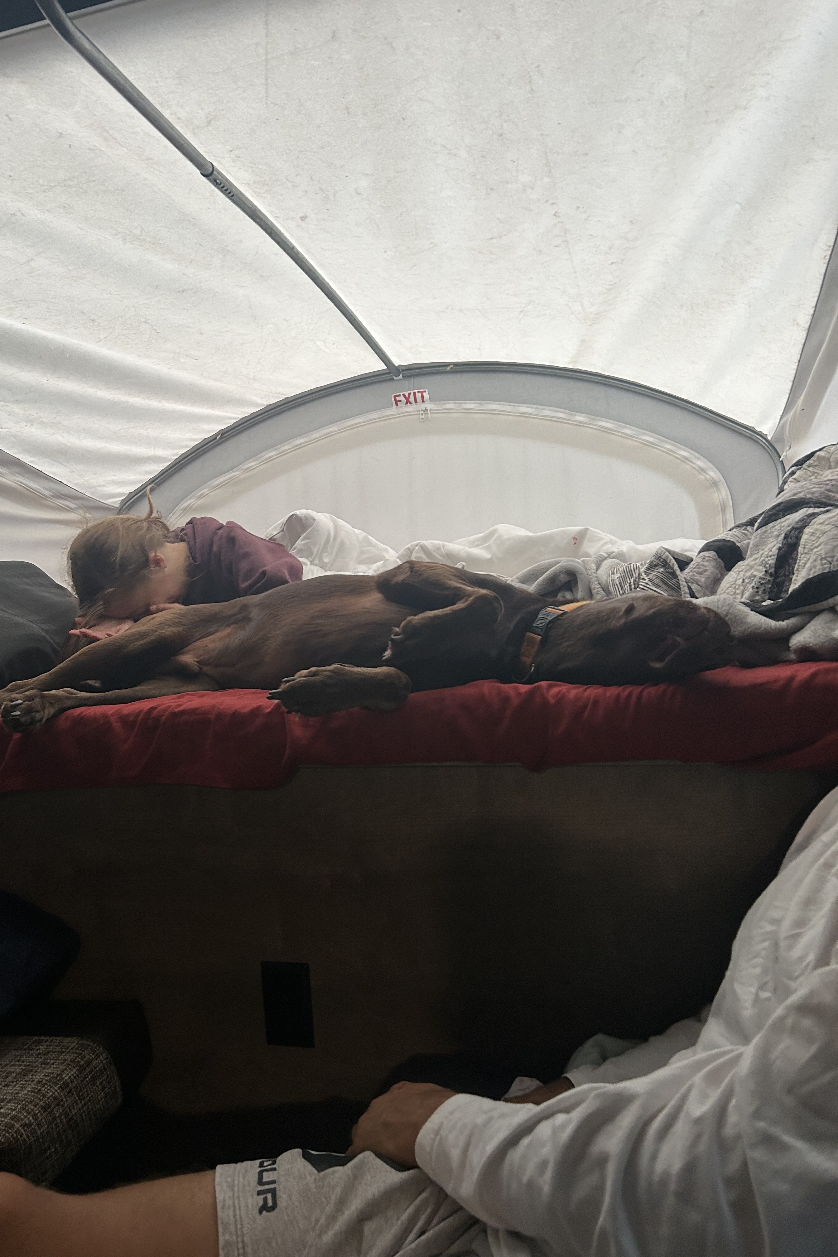 Ashley's Escape Trailer Industries 2019 hybrid travel trailer Hybrid