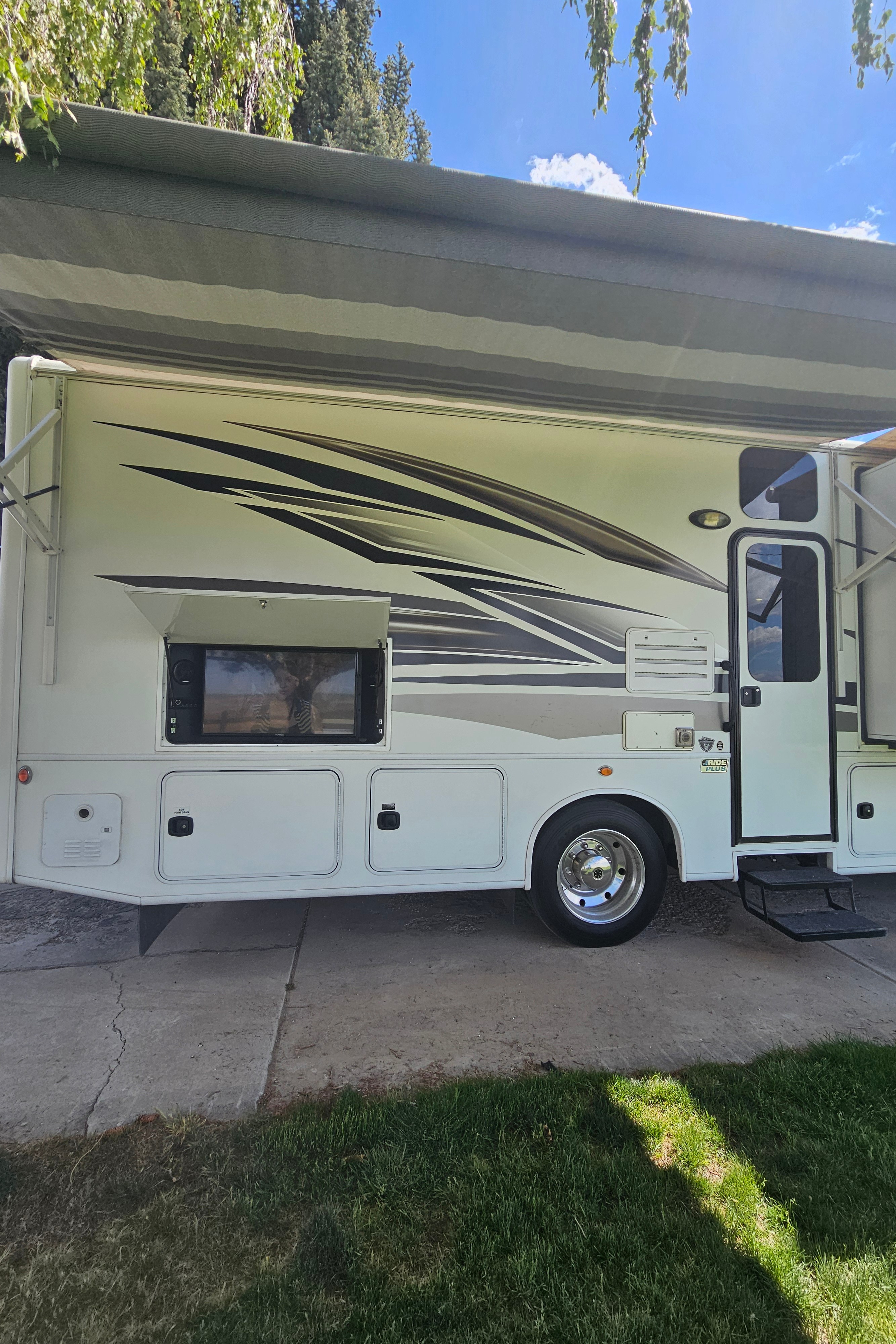 Alberto's Jayco 31 UL Class A