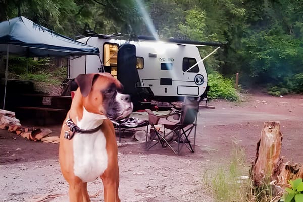 Mitchell's Forest River NoBo 16.8 Travel Trailer