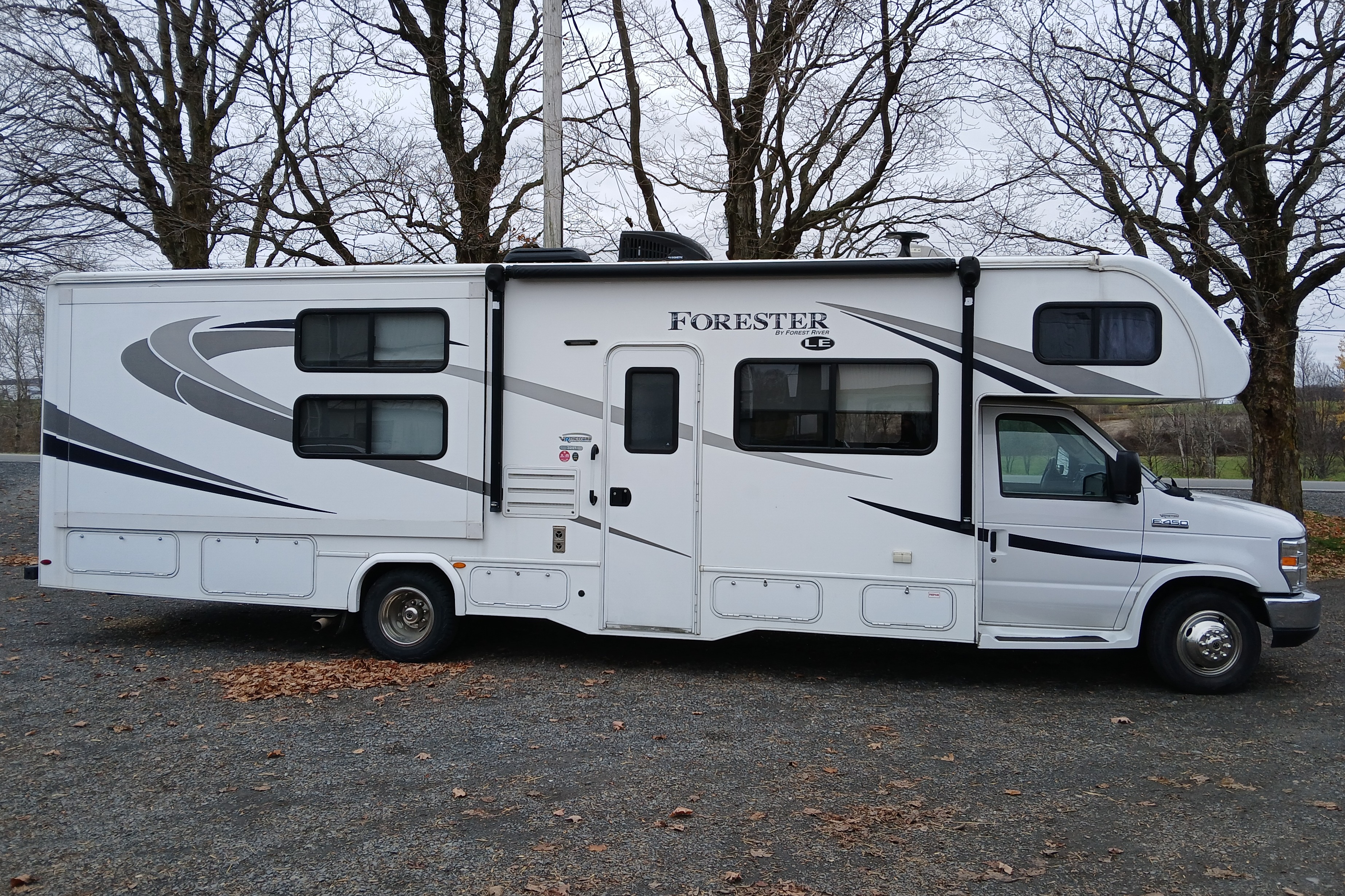 Le bohème Forester 3251DS