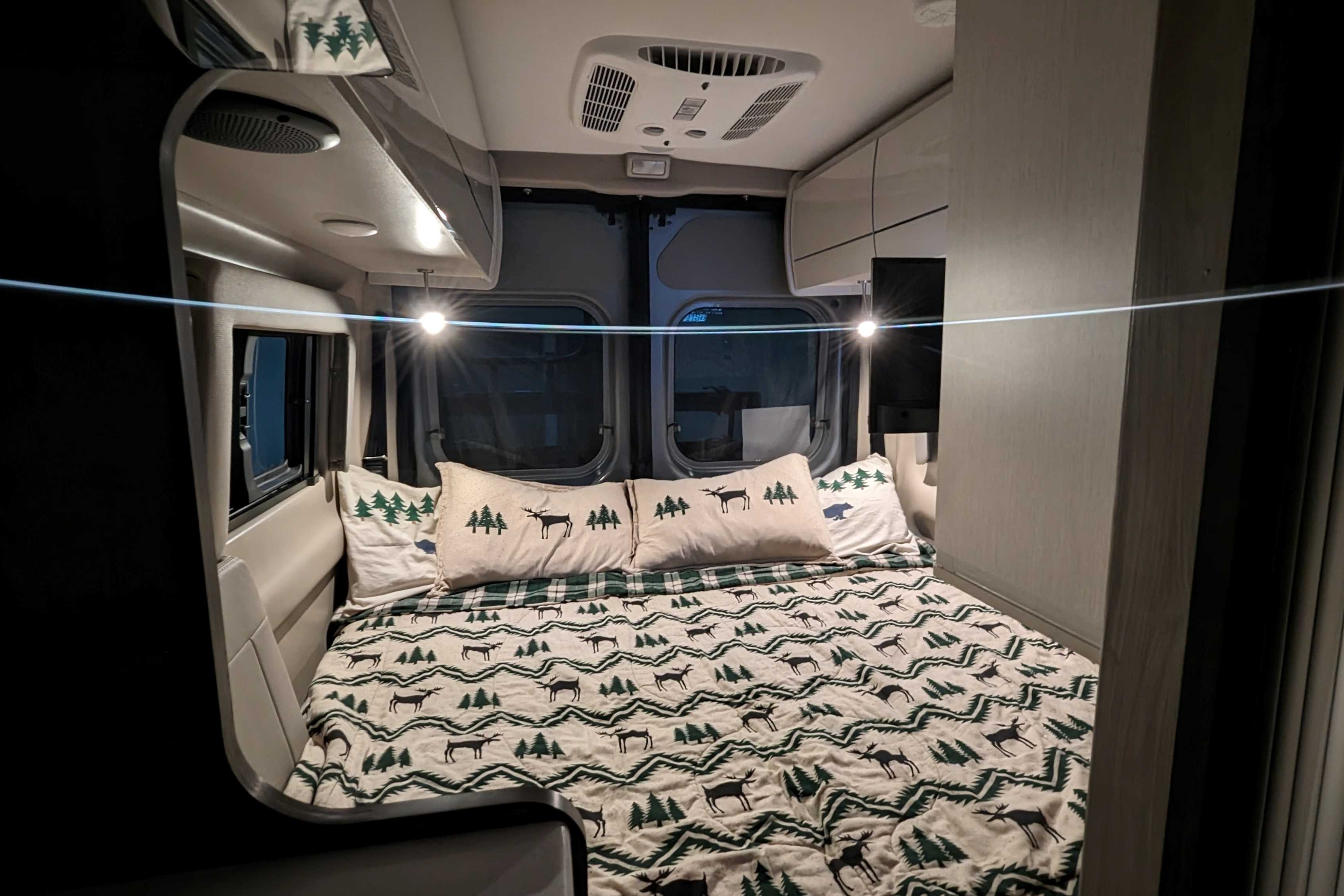 New Class B Van Nature Adventurer for 4!