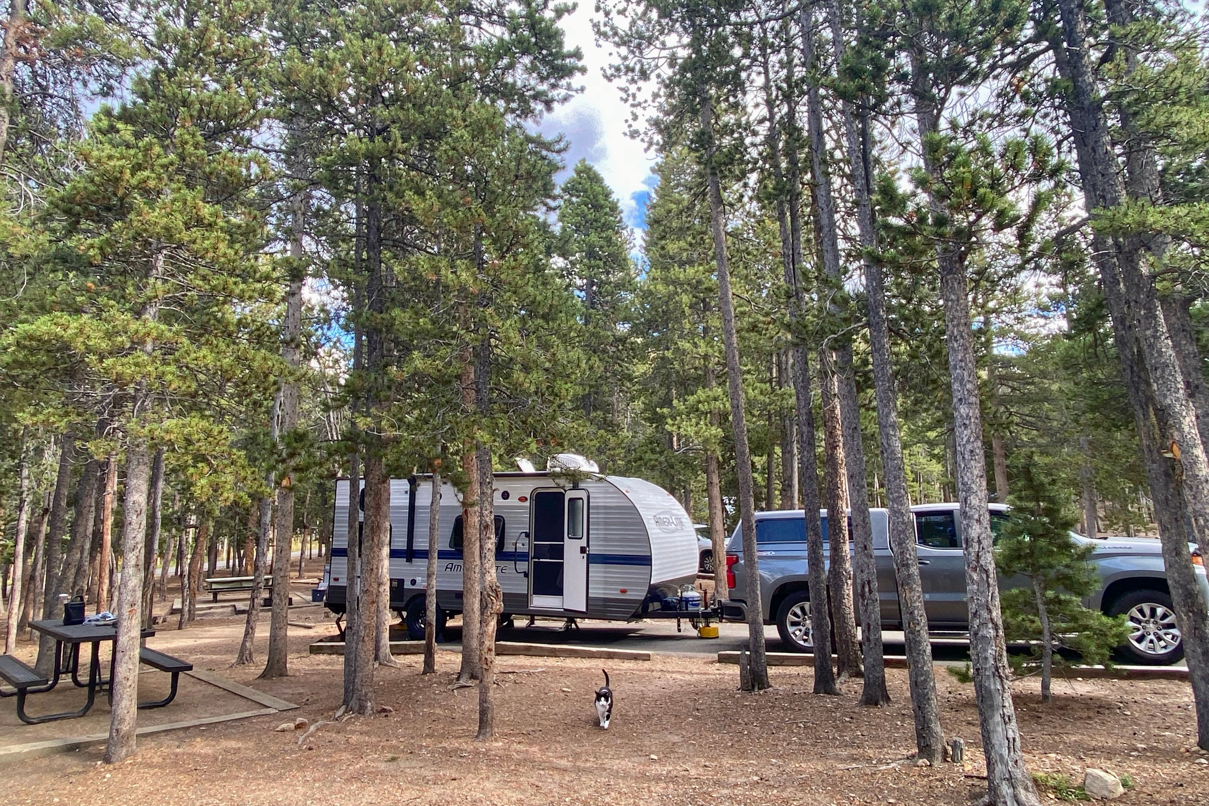 Modern Camper with Plentiful Amenities