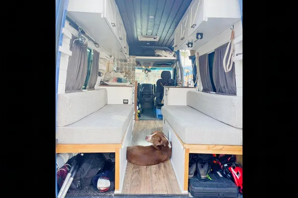 Murph the Smurf: PET FRIENDLY - Mercedes Sprinter Conversion