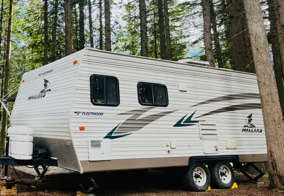 Britt and Brett’s Fleetwood Mallard Travel Trailer