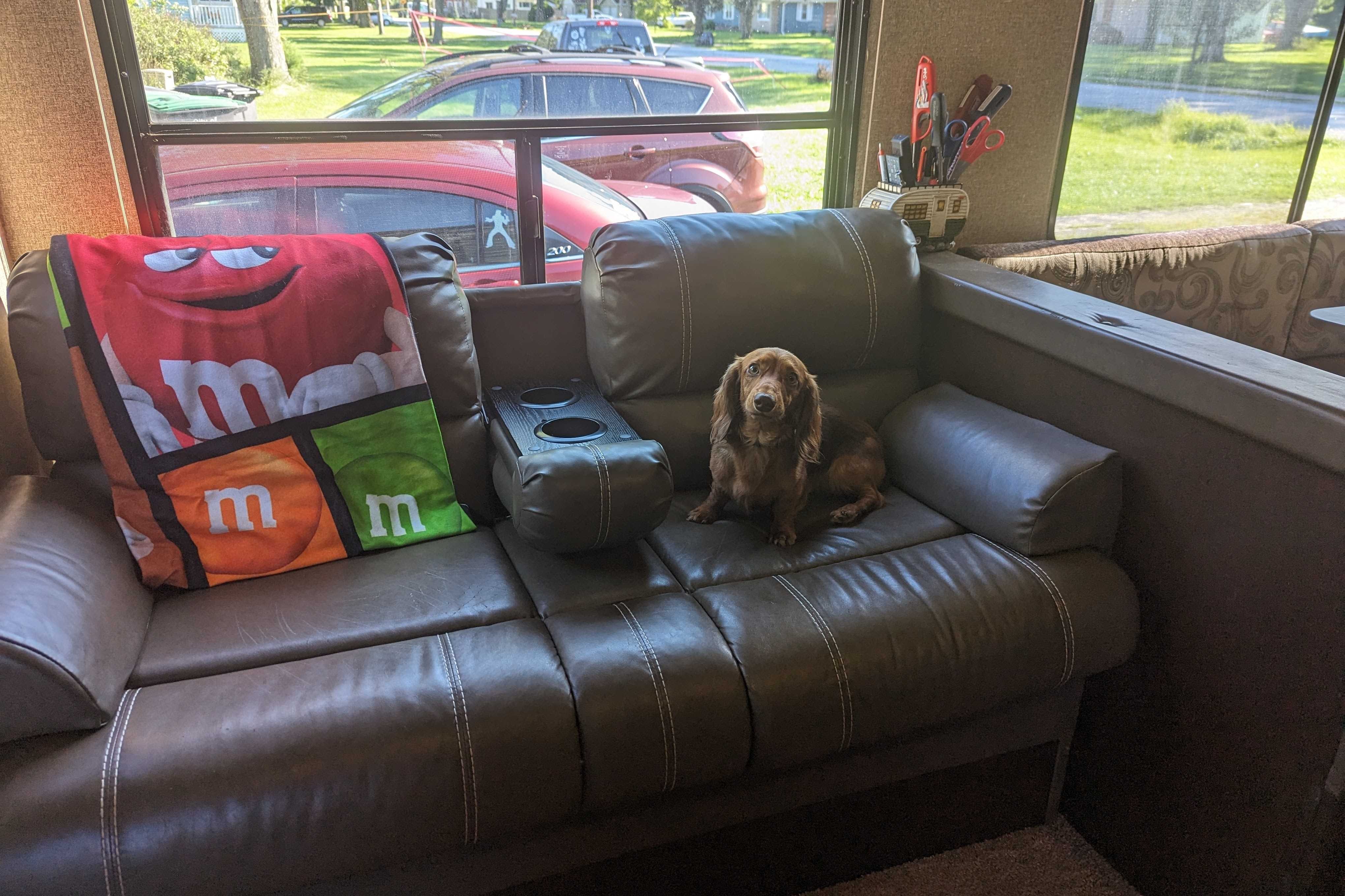 Family and dog friendly travel trailer