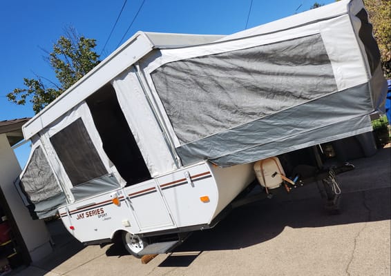 Bear'ly a Trailer