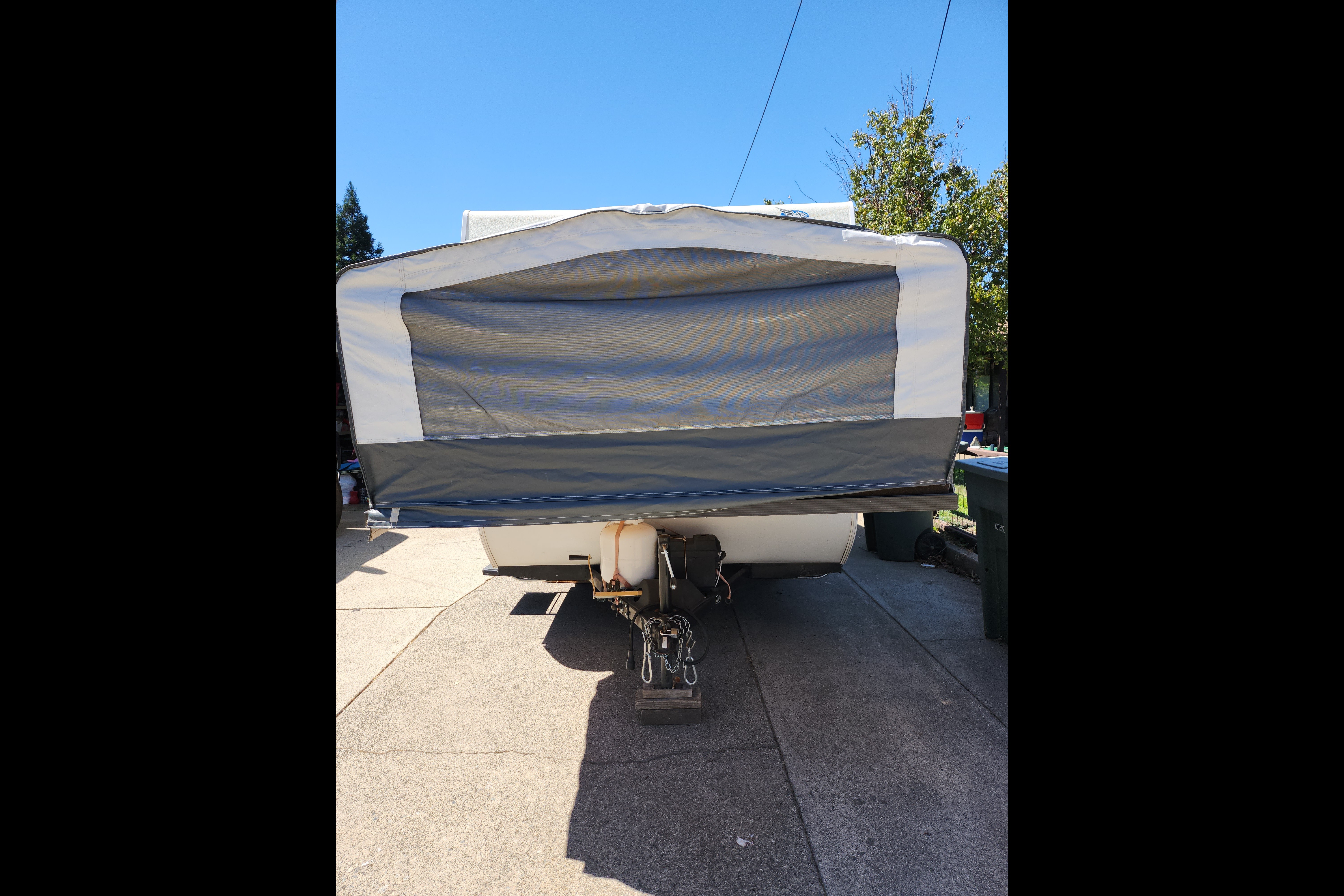 Bear'ly a Trailer