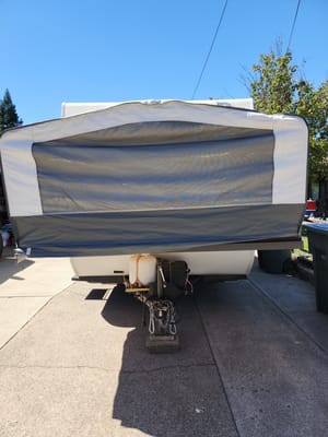 Bear'ly a Trailer