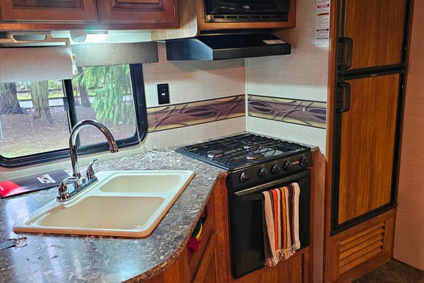 Ron and Amanda's Keystone Springdale Travel Trailer