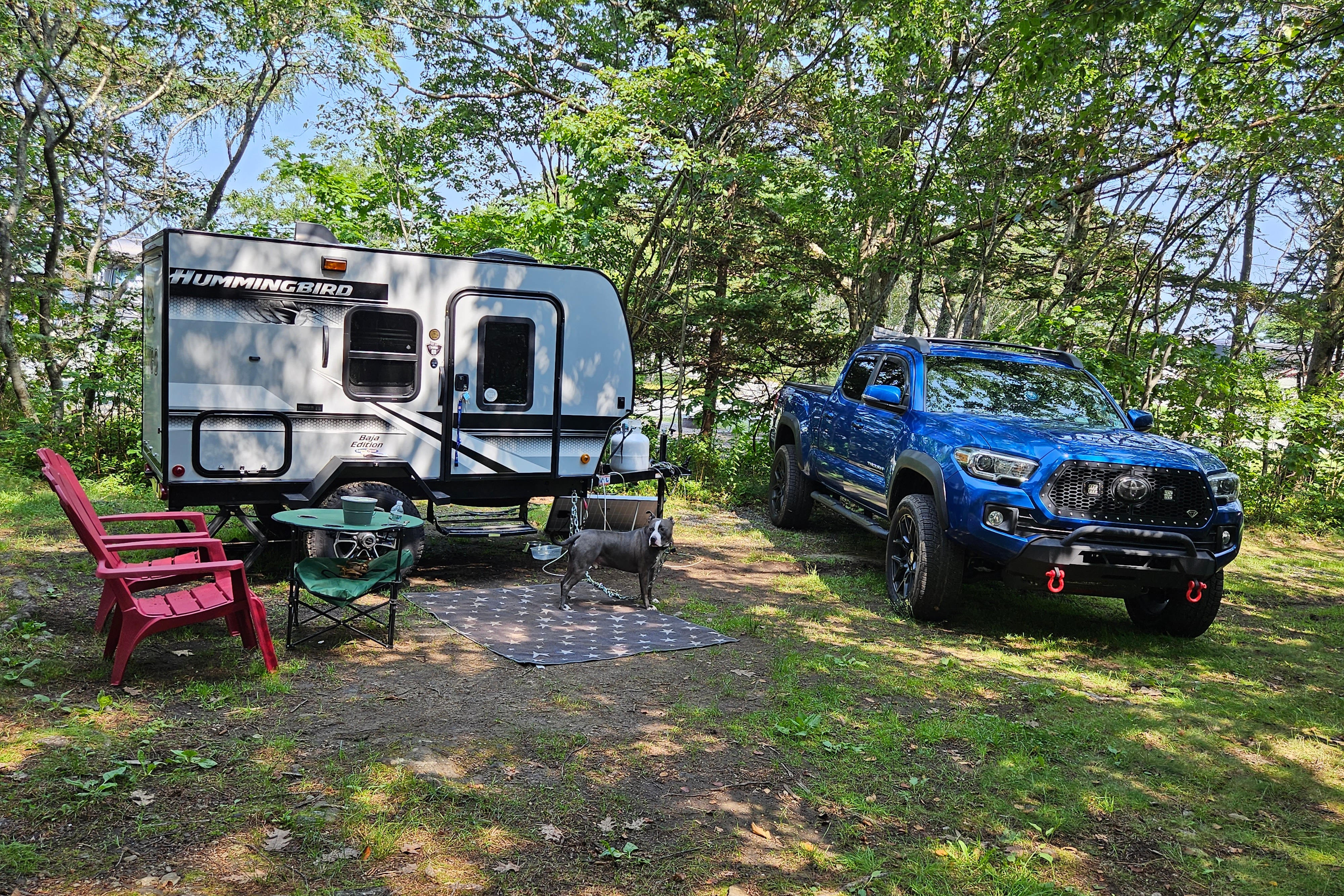 Frank's Jayco Hummingbird Travel Trailer