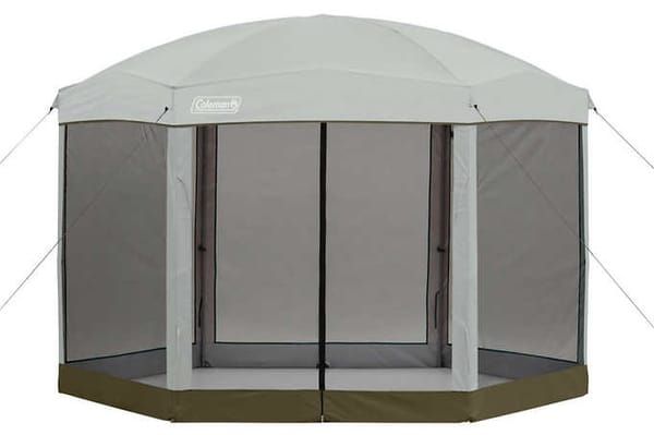 Blake's Forest River Wolf Pup 17JG Travel Trailer