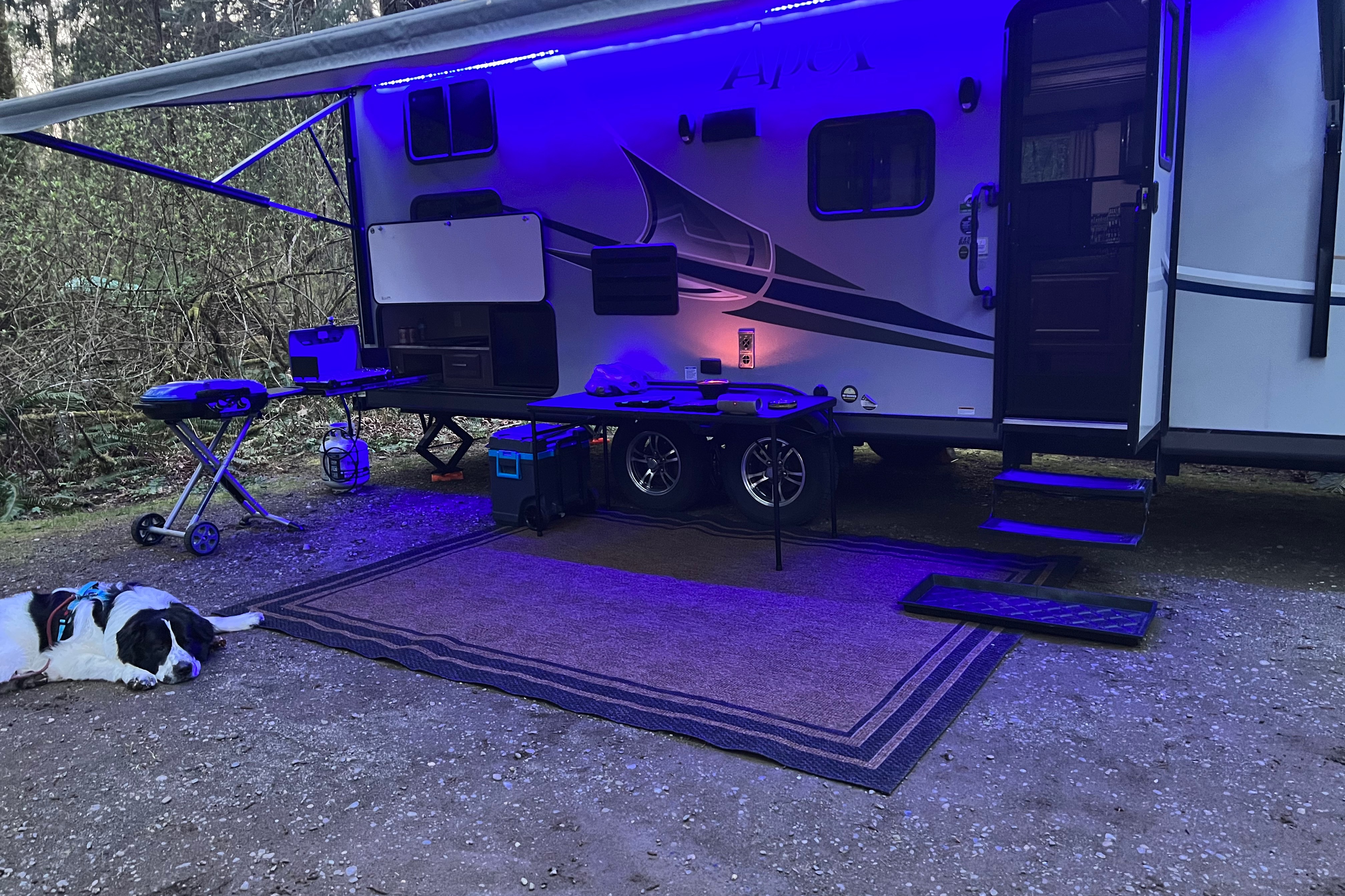 Nick & Mel’s Coachmen  Apex Travel Trailer