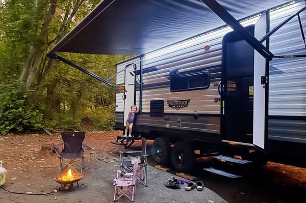 Shynai's Wildwood Travel Trailer