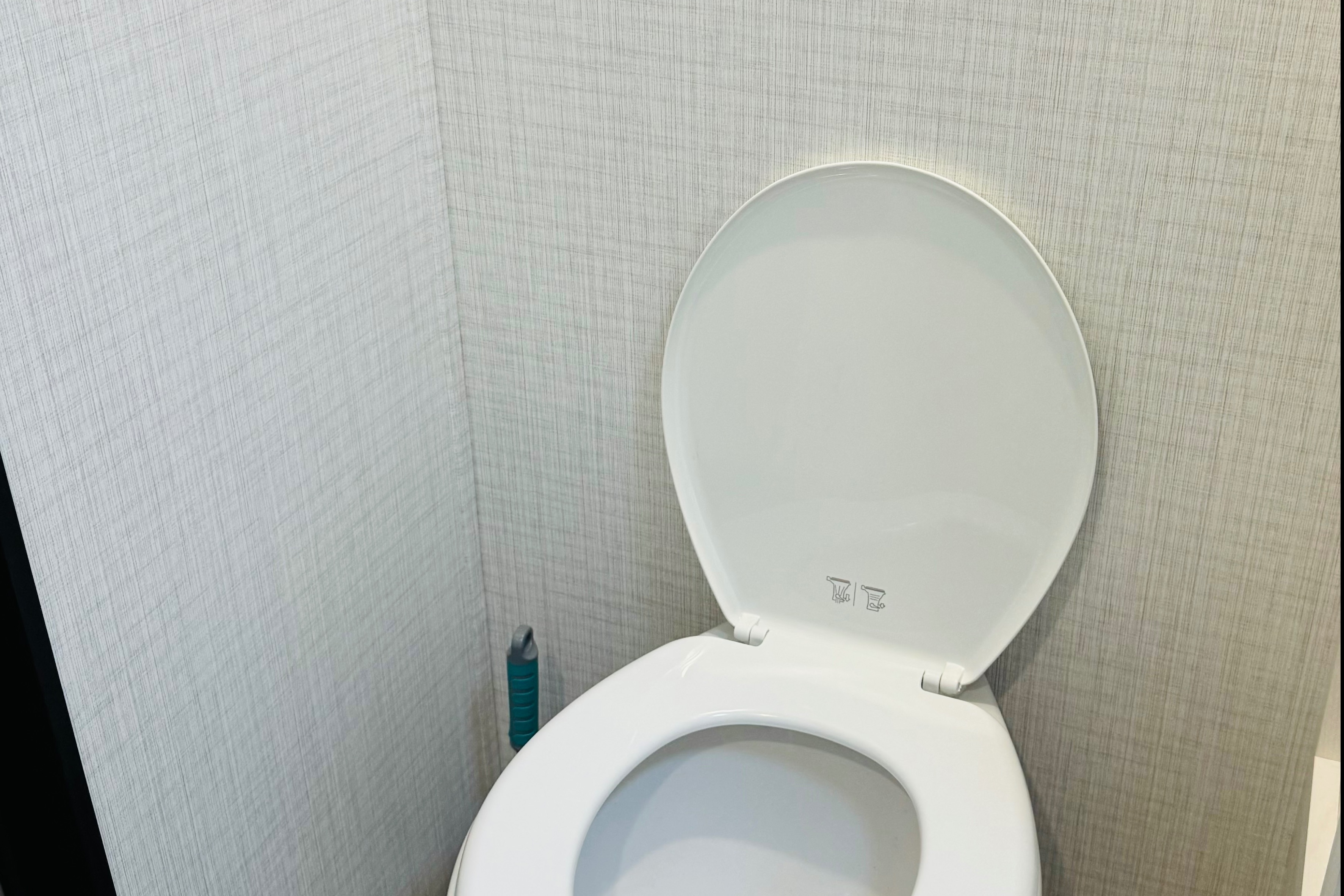TESORITO- NO EXTRA COST FOR CLEANING, DUMPING OR PREPPING!