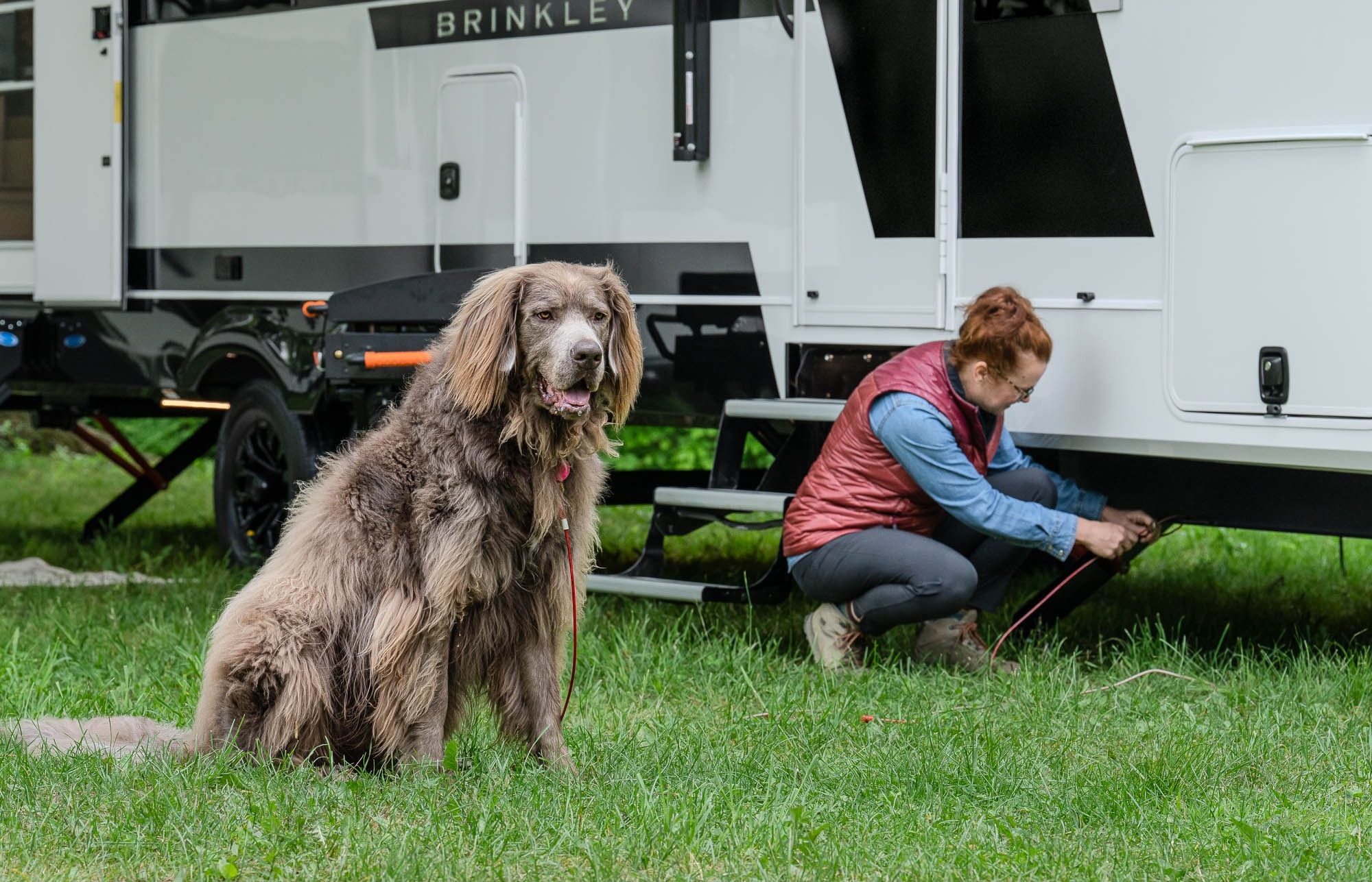 Luxury Brinkley Bunkhouse Basecamp | Delivered & Setup in San Diego