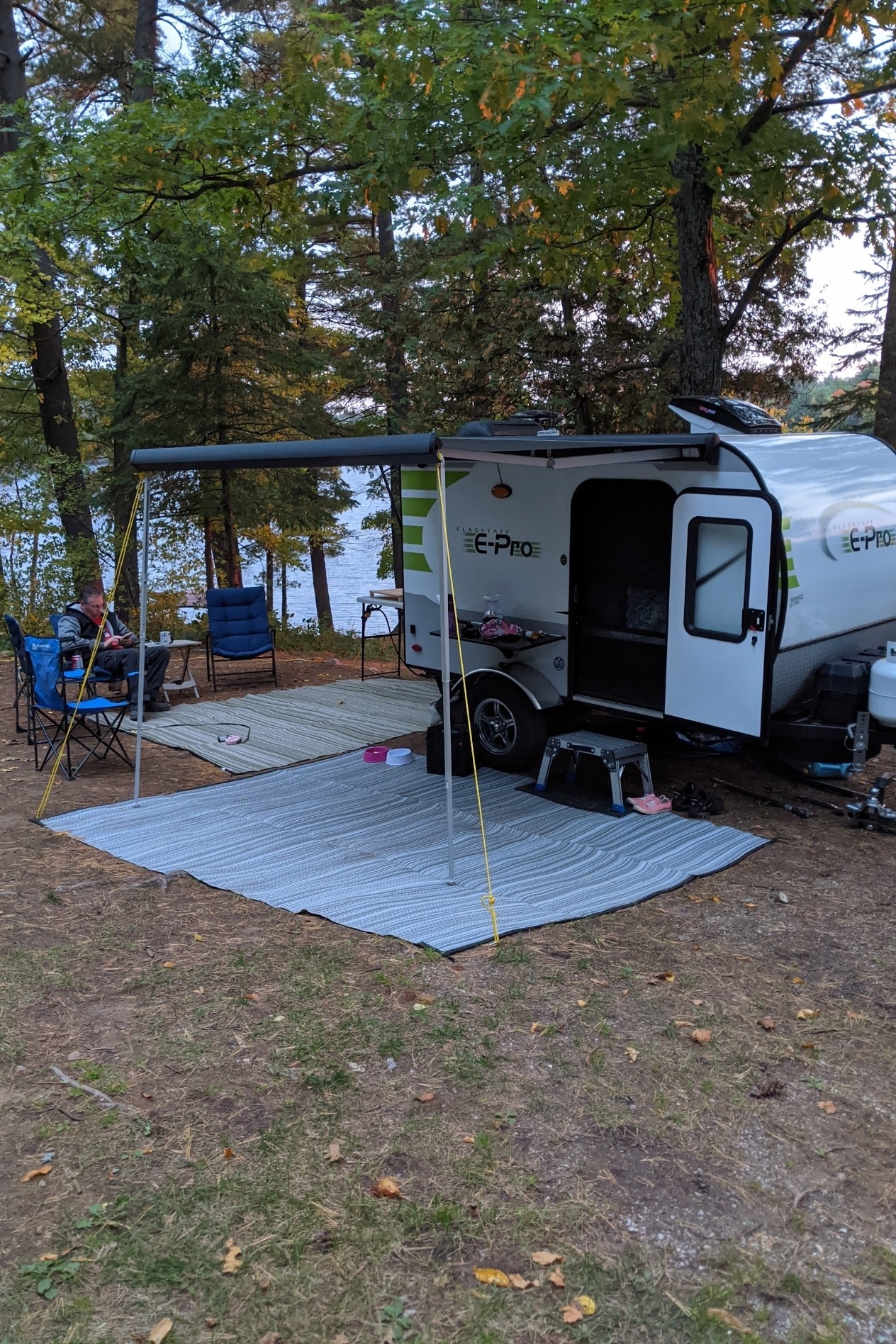 Cuddle Bug