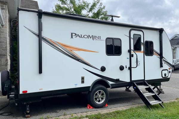Dom's palomini