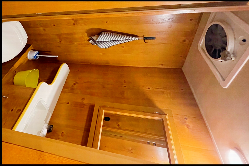 Courtney's Woody Vintage Cruiser