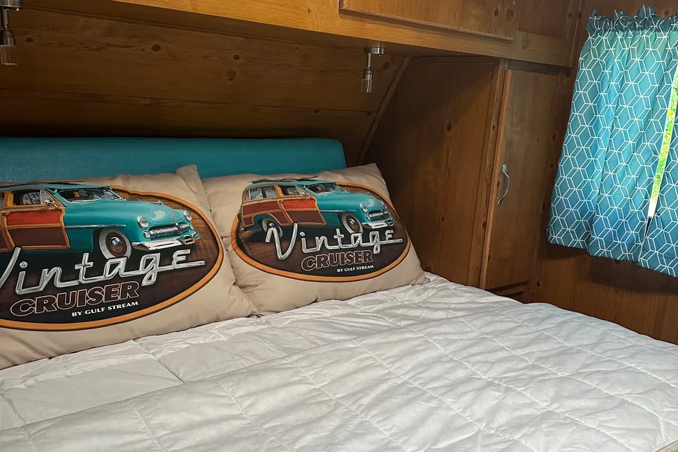 Renee's vintage cruiser adventures