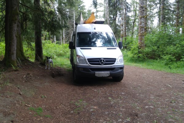 Myvanwy Sprinter Van