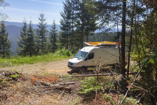 Myvanwy Sprinter Van