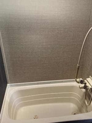 Greg's Springdale Sumerland mini Travel Trailer