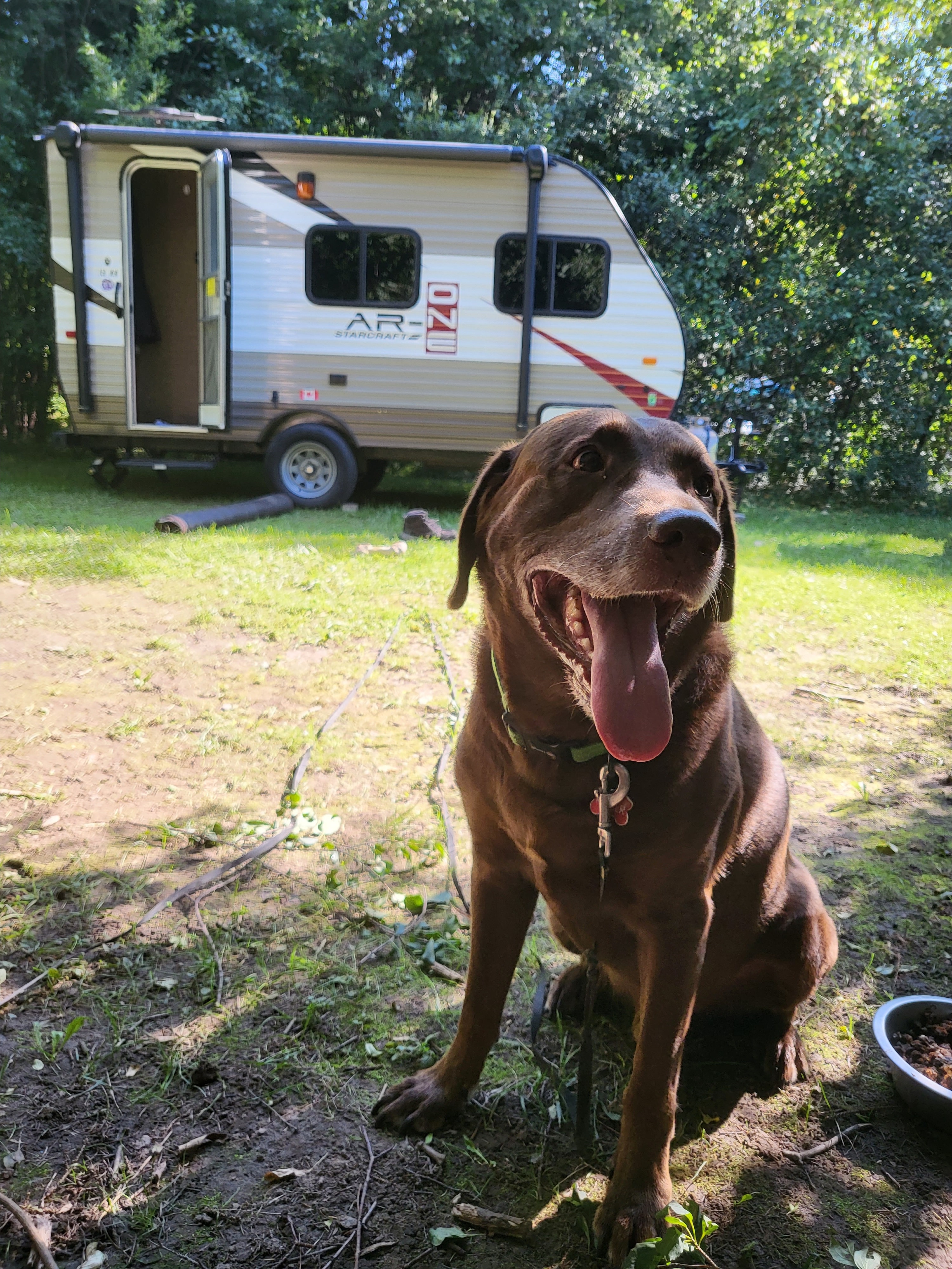 Andrew's 2017 Starcraft 15RB Hybrid Light Camper